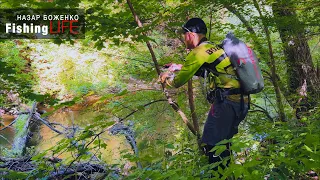 Рибалка В ДИКИХ ХАЩАХ України - Ловля Щуки, Головня Та Окуня