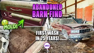 ABANDONED BARN FIND First Wash In 25 Years Chevy Caprice! Satisfying Car Detailing Restoration