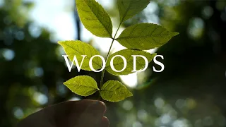 Woods