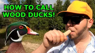 HOW TO Call Wood Ducks! (Duck Hunting Tips!)