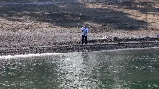 08 08 2019  КЕФАЛЬ и ПЕРВЫЕ ЛУЧИ солнца Кобулети ქობულეთი Аджария Грузия