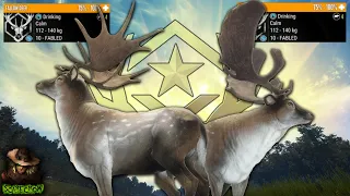 We Got 2 Great One Fallow Deer In Under 800 Kills! Plus A Great One Fallow Guide! Call of the wild
