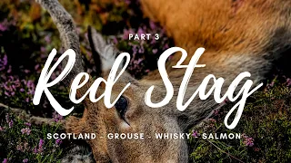 Red Stag Deer Stalking Scotland Trip Part 3 - My First EVER deer shot - The Three Legged Switch HGC