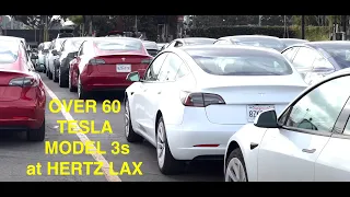 Hertz LAX - Over 60 TESLA MODEL 3's - February 2022 weekend update.