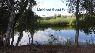 Camping at Melkhout guest farm, Bonnievale, Western Cape