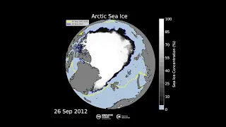 Arctic Sea Ice (from January 1993 to October 2023)