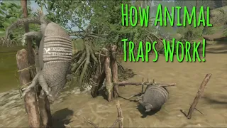 How Animal Traps Work. | Green Hell