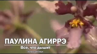 Паулина Агиррэ - Все, что дышит. Todo lo que Respira - Paulina Aguirre