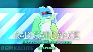 SAD CAT DANCE ANIMATION MEME ☘️|| JSAB CUBE