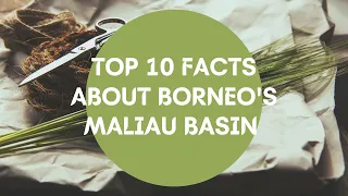 10 FACTS ABOUT BORNEO'S MALIAU BASIN