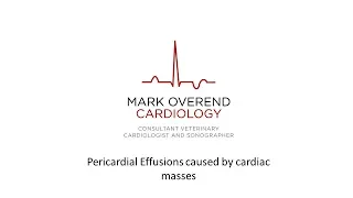 Pericardial Effusions Caused by Cardiac Neoplasia