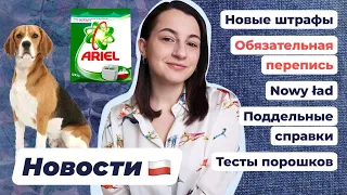 НОВОСТИ ПОЛЬШИ | Упрощение трудоустройства | Новые штрафы | Фальшивые справки | Перепись