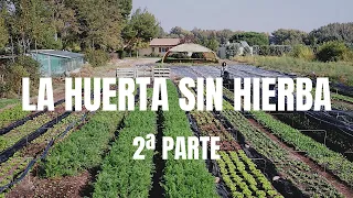 La Huerta Sin "Malas" Hierbas | 2ª parte