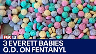 3 Everett children overdose on fentanyl in 4 days | FOX 13 Seattle