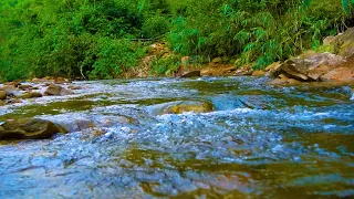 Birds chirping, mountain streams flow gently   Peaceful relaxing space.