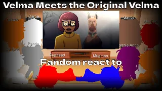 Fandom react to Velma Meets the Original Velma (Gacha Club)