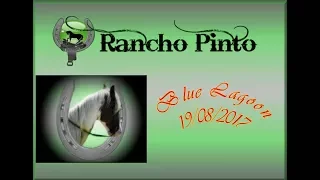 Rancho Pinto 19 08 2017 Blue Lagoon video