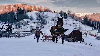 Hard life in a high mountain village. How food is delivered on horses