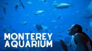 The Monterey Bay Aquarium in Monterey, California