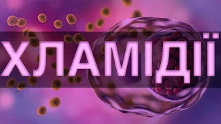 Хламідії / Chlamydia