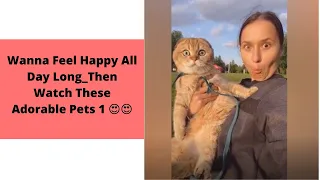 Wanna Feel Happy All Day Long Then Watch These Adorable Pets #1 - Pet Funny World