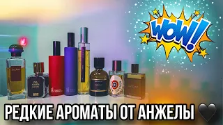 РЕДКИЕ АРОМАТЫ ✨ ДУХИ ОТ АНЖЕЛЫ ✨ НИША / ЛЮКС / РЕДКОСТИ