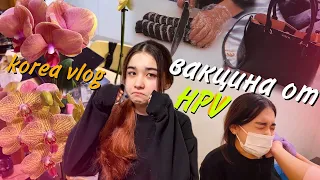 Прививка школьнице от HPV вируса/Зашли к дерматологу/Новые покупки/KOREA VLOG