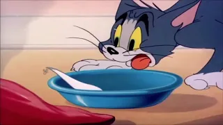 video tom y jerry invisible tik tok