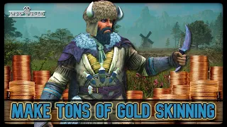 3 Best Ways To Make Gold Skinning (New World)