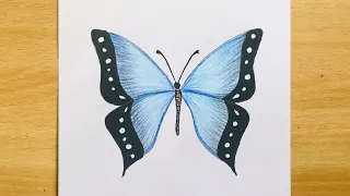 How to Draw Butterfly  (Very Easy) Step by Step | Colored Pencil