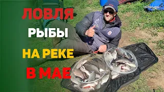 ловля рыбы на реке в мае