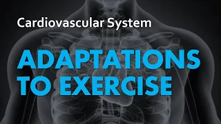 Adaptations to Exercise | Cardiovascular System 07 | Anatomy & Physiology