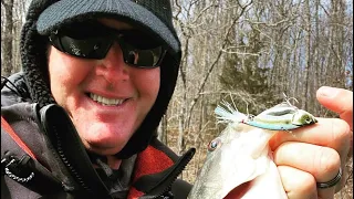 Understanding how weather affects bass in the month of December.