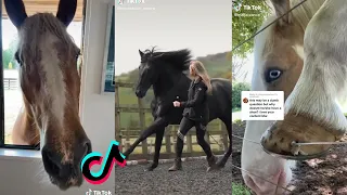 THE FUNNIEST HORSE TikTok Compilation 2022 #96