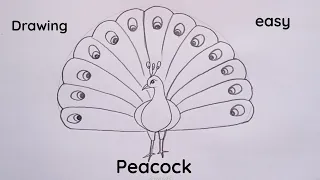 how to draw peacock drawing easy easy step for beginners