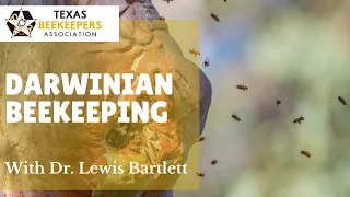 Darwinian Beekeeping — Dr Lewis Bartlett, UGA