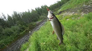 Рыбалка на таежной речке.Ловля хариуса. Лодка REEF 450 JET. Водомет yamaha 25. Быт в избе. Часть 3