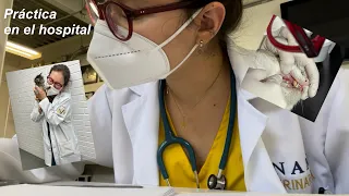 Una semana estudiando medicina veterinaria | Práctica de medicina de gatos 🐈✨👩🏻‍⚕️