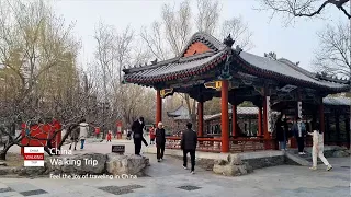 北京地坛公园治愈之旅, 周末与家人散步的好去处
