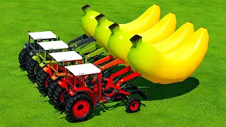 TRANSPORT BANANAS WITH COLORED FENDT TRACTORS - Farming Simulator 22