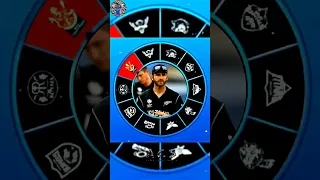 ipl 2023 Auction Wheel - Kane Williamson #shorts