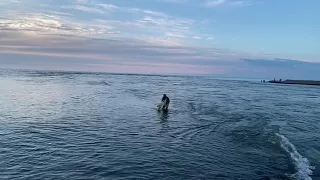 Рыбалка накидкой на черном море .в дельте чороха на пеленгаса