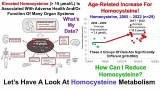 Will Glycine Supplementation Reduce Homocysteine?