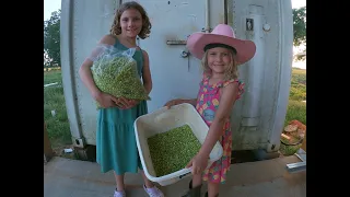 Shelling and selling southern peas