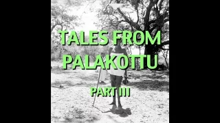Talks on Sri Ramana Maharshi: Narrated by David Godman - Tales From Palakottu (Part III)