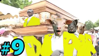 Coffin Dance Meme: HUMANS VS WILD ANIMALS Meme Compilation #9