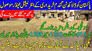 پنجاب کے بڑے شہروں میں آج کے مونجی گندم مکئی کپاس کے غلہ منڈی ریٹس|2|| Dhan,Munji Rates