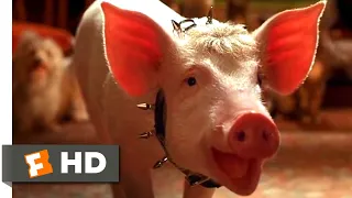 Babe: Pig in the City (1998) - The Birthday Song Scene (6/10) | Movieclips