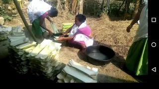 BANANA STEM PLATE MAKING.