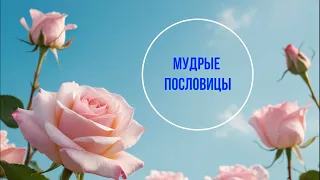 Мудрые пословицы. 17.02.24